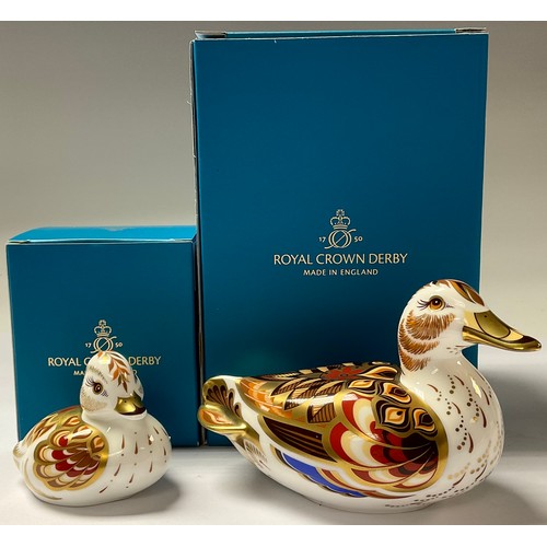 5077 - A pair of Royal Crown Derby paperweights, Wigeon Duck and Wigeon Duckling, gold stoppers, the Duck 1... 