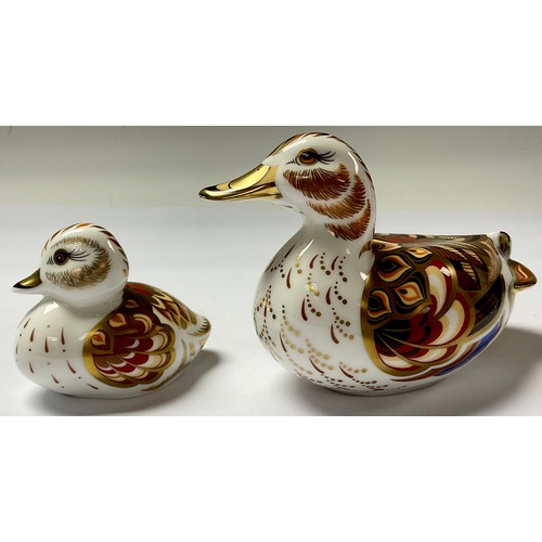 5077 - A pair of Royal Crown Derby paperweights, Wigeon Duck and Wigeon Duckling, gold stoppers, the Duck 1... 