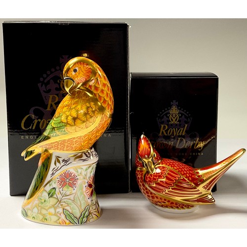 5083 - A Royal Crown Derby paperweight, Sun Parakeet, gold stopper, 15.5cm, printed mark in red, boxed; ano... 