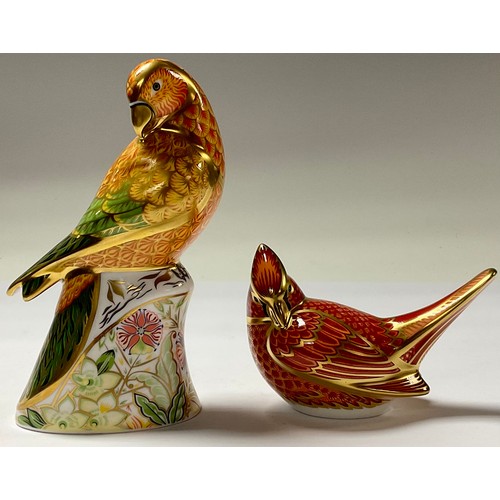 5083 - A Royal Crown Derby paperweight, Sun Parakeet, gold stopper, 15.5cm, printed mark in red, boxed; ano... 