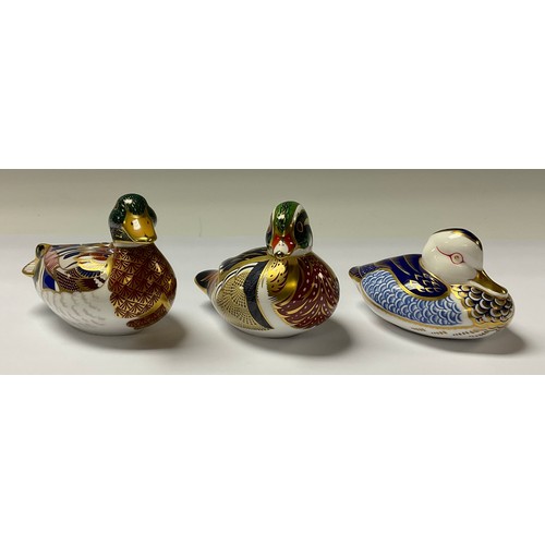 5088 - A Royal Crown Derby paperweight, Carolina Duck, gold stopper, 8cm, printed mark in red; two others, ... 