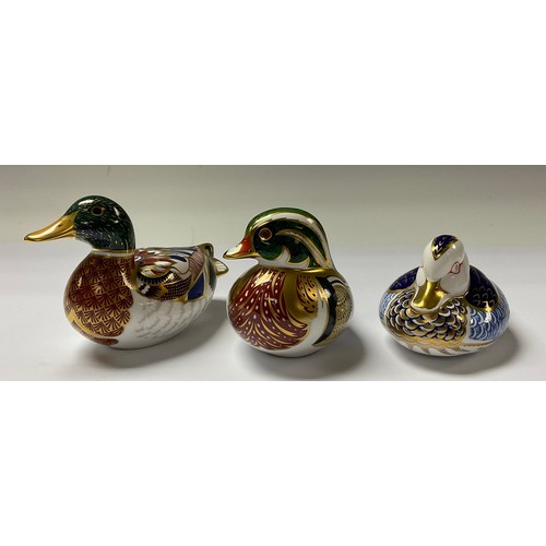 5088 - A Royal Crown Derby paperweight, Carolina Duck, gold stopper, 8cm, printed mark in red; two others, ... 