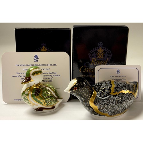 5107 - A Royal Crown Derby paperweight, Chatsworth Coot, limited edition 262/1,000, gold stopper, 13cm long... 