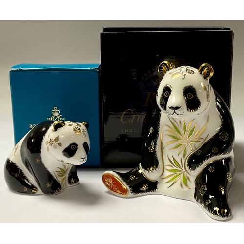 5117 - A pair of Royal Crown Derby paperweights, Giant Panda and Baby Panda, gold stoppers, the Panda 11cm,... 