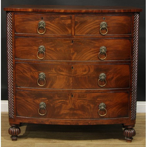 1183 - A George IV mahogany bowfront chest, slightly oversailing top above two short and three long graduat... 