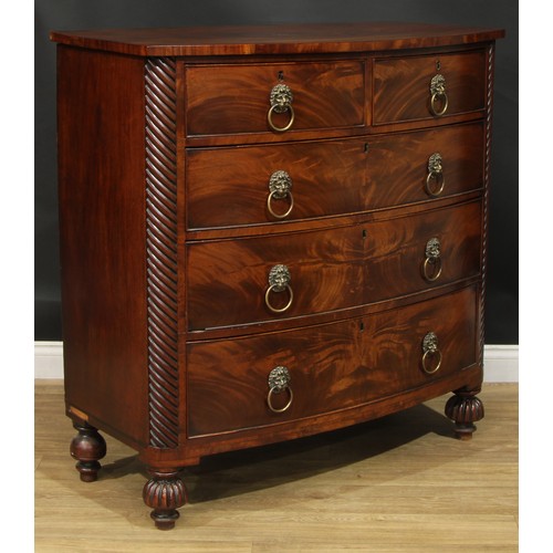 1183 - A George IV mahogany bowfront chest, slightly oversailing top above two short and three long graduat... 