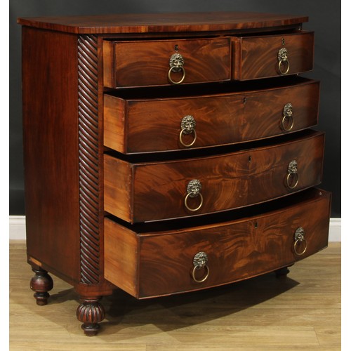 1183 - A George IV mahogany bowfront chest, slightly oversailing top above two short and three long graduat... 