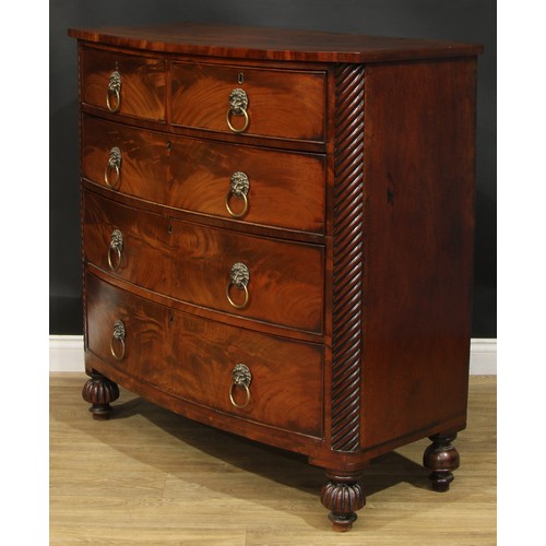 1183 - A George IV mahogany bowfront chest, slightly oversailing top above two short and three long graduat... 