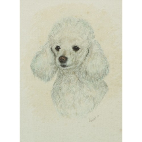 619 - James Rowley
Study of a White Poodle
signed, dated 1989, watercolour, 35cm x 25.5cm; another, Black ... 