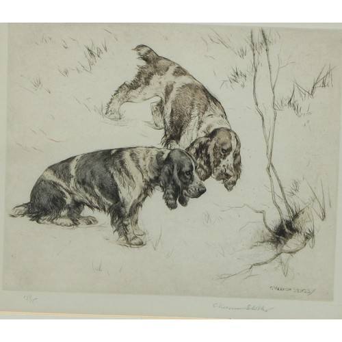 668 - George Vernon Stokes (1873–1954), by and after, Cocker Spaniels, etching, signed in pencil, numbered... 