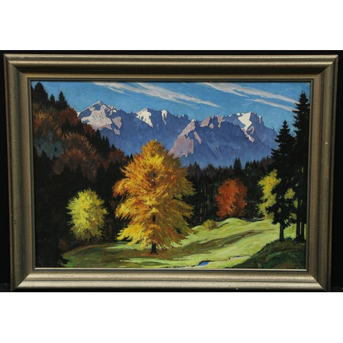 717 - S Liemann (German 20th century)
Herbstes Zauber im Werdenfelser Land
signed, inscribed to verso, oil... 