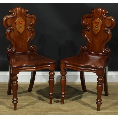 1407 - A pair of Victorian armorial hall chairs, cartouche shaped back applied with polychrome painted cres... 