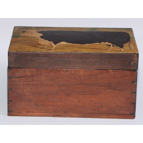 1461 - Folk Art - a early 20th century pine box, the hinged cover painted with a naïve journeyman portrait ... 