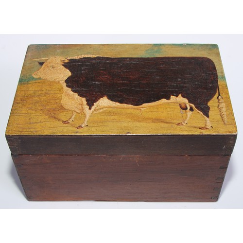 1461 - Folk Art - a early 20th century pine box, the hinged cover painted with a naïve journeyman portrait ... 