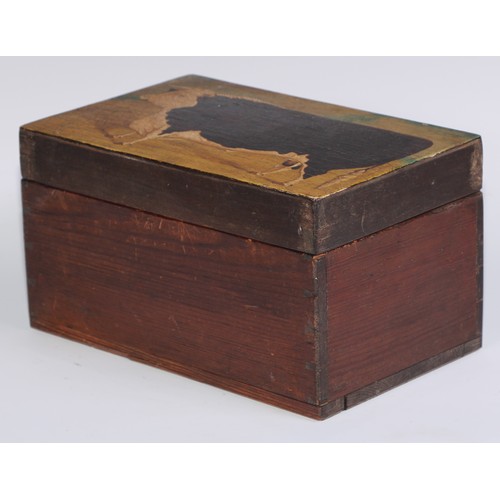 1461 - Folk Art - a early 20th century pine box, the hinged cover painted with a naïve journeyman portrait ... 