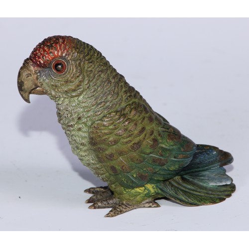 1063 - A 19th century Austrian cold painted bronze, of a parrot, probably Franz Xavier Bergman, 8.5cm high,... 