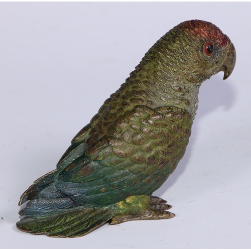 1063 - A 19th century Austrian cold painted bronze, of a parrot, probably Franz Xavier Bergman, 8.5cm high,... 