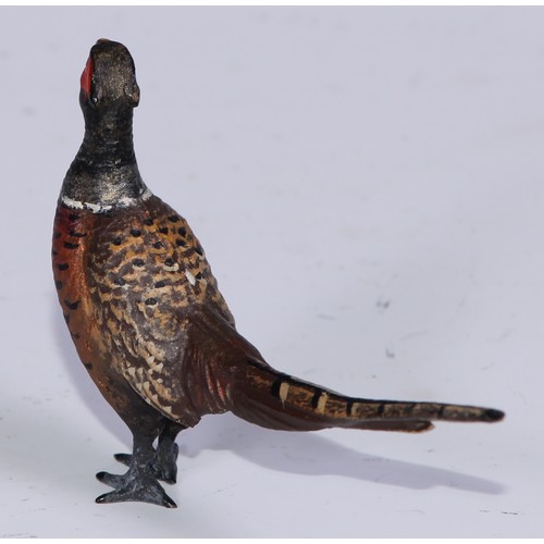 1152 - An Austrian cold painted bronze, of a pheasant, 9cm long