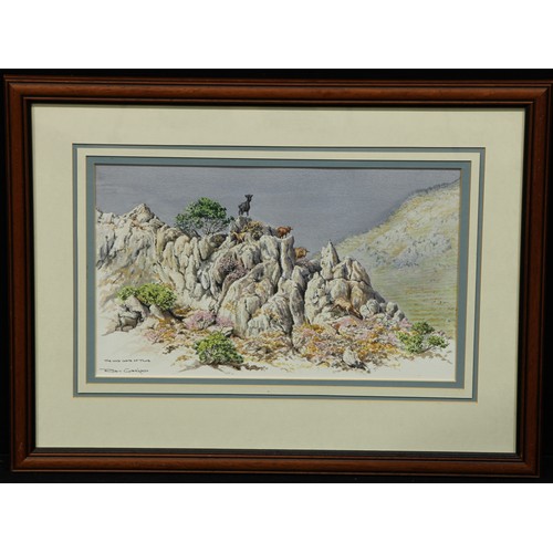 700 - Robin Gibbard (1930 - 2014)
Wild Goats of Tilos
signed, watercolour, 25.5cm x 43cm