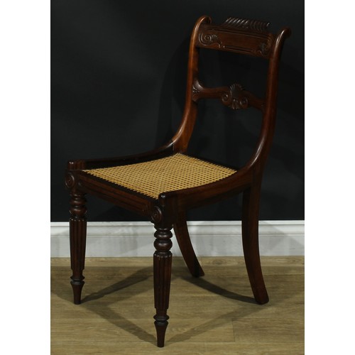 1127 - A set of six Post-Regency George IV rosewood bar-back dining chairs, each with a curved gadroon-capp... 