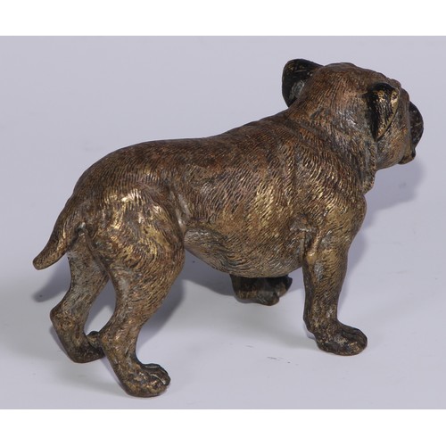 1150 - An Austrian cold painted bronze, of a bulldog, he stands, four square, 19cm long, Vienna, c.1900; ot... 