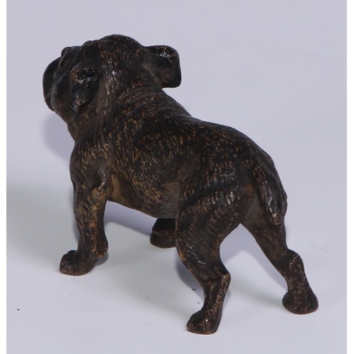 1150 - An Austrian cold painted bronze, of a bulldog, he stands, four square, 19cm long, Vienna, c.1900; ot... 