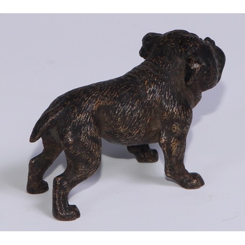 1150 - An Austrian cold painted bronze, of a bulldog, he stands, four square, 19cm long, Vienna, c.1900; ot... 