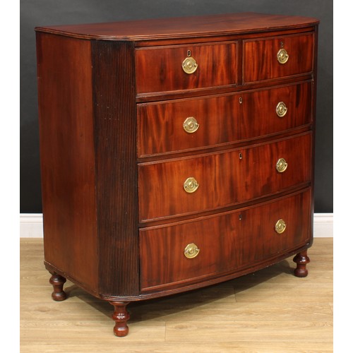 923 - A 19th century mahogany D-shaped chest, possibly Channel Islands, slightly oversailing top with reed... 