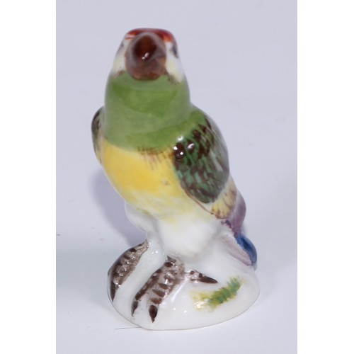 535 - A set of five German porcelain miniature models of parrots, brightly decorated in polychrome, the la... 