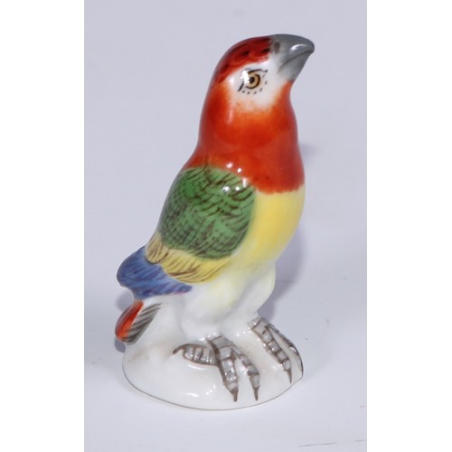 535 - A set of five German porcelain miniature models of parrots, brightly decorated in polychrome, the la... 