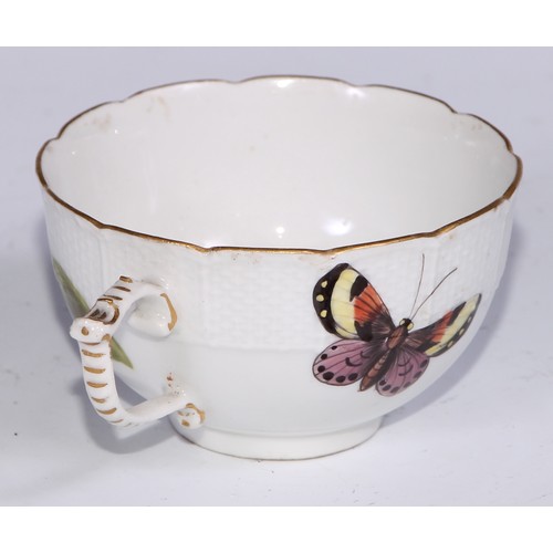 523 - A Meissen cup and saucer, painted in polychrome with insects, fruit and fungi, on a moulded ground, ... 