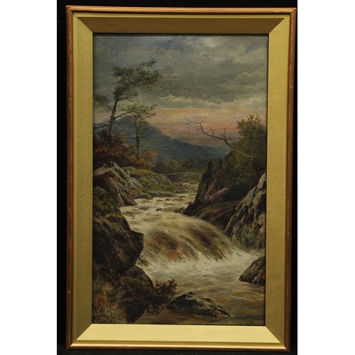 728 - William Henry Mander (1850 - 1922)
A Rocky Torrent
signed, oil on canvas, 49.5cm x 29.5cm