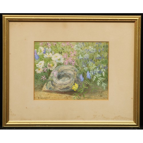 704 - William Cruickshank (1848 - 1922)
Still Life, Bird's Nest and Flowers
signed, watercolour, 23cm x 29... 