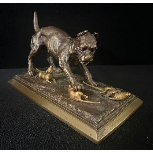 3013 - Agathon Leonard (1841 - 1923), after, a brown patinated bronze, of a bull terrier ratting,  signed i... 