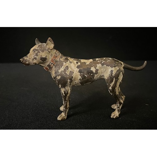 3016 - An Austrian cold painted bronze model, of a Bull Terrier, 8cm high, c.1910