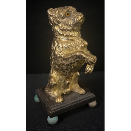 3018 - English School, late 19th century, a gilt bronze, Rough Haired Terrier, begging, glass eyes, rectang... 