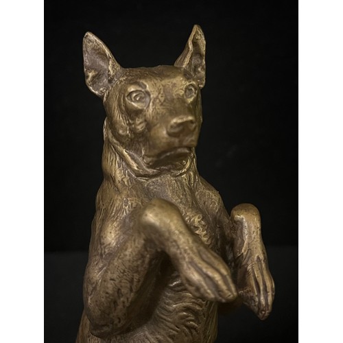 3019 - Charles Pailett, French 1871 - 1937, a gilt bronze, Manchester Terrier, begging, signed