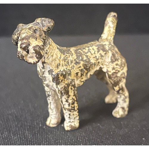 3026 - An Austrain cold painted bronze model of a Fox Terrier, 4.5cm high, c.1890;  another (2)