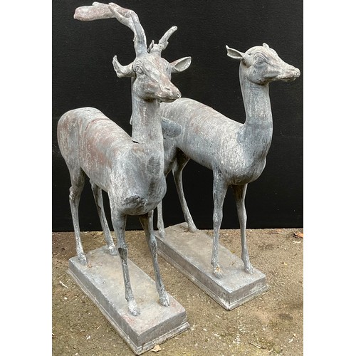 1212A - A pair lead garden statues, of a  stag and  doe, standing, rectangular bases, possibly based on the ... 