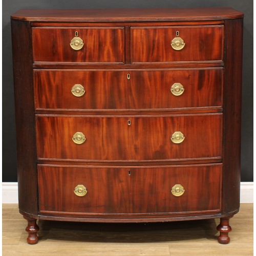 1645 - A 19th century mahogany D-shaped chest, possibly Channel Islands, slightly oversailing top with reed... 