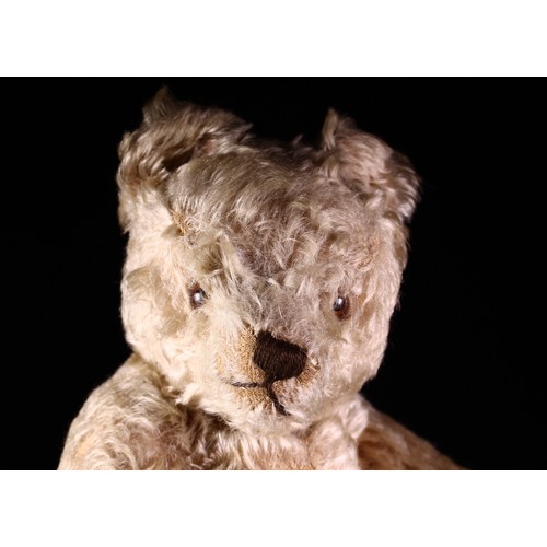 2189 - Steiff (Germany) golden mohair jointed teddy bear, amber and black glass eyes, pronounced snout with... 