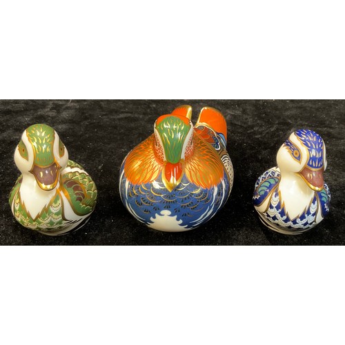 34 - A Royal Crown Derby paperweight, Mandarin Duck, gold stopper; two others, Derbyshire Duckling, gold ... 