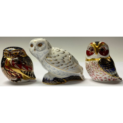 179 - A Royal Crown Derby paperweight, Snowy Owl, Collector's Guild special edition, gold stopper; others,... 