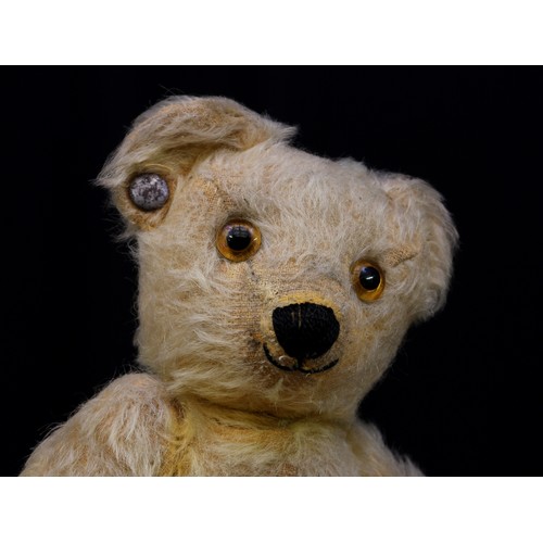 2242 - A 1930's Chad Valley golden mohair jointed teddy bear, amber and black glass eyes, pronounced snout ... 