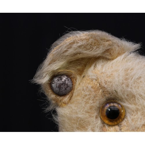 2242 - A 1930's Chad Valley golden mohair jointed teddy bear, amber and black glass eyes, pronounced snout ... 