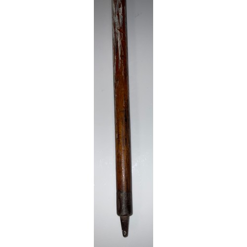 879 - A late 19th/early 20th Malacca walking stick, goat horn and hoof handle, the shaft transfer printed ... 