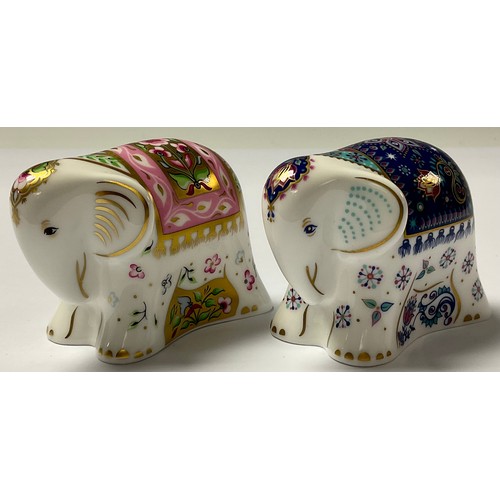 41 - A Royal Crown Derby paperweights, Baby Indian Elephant, gold stopper; another Sitara, Collector's Gu... 