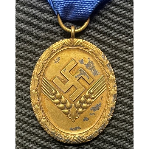 5071 - WW2 Third Reich Dienstauszeichnung für den Reichsarbeitsdienst 25 Jahre - Long Service Award of the ... 