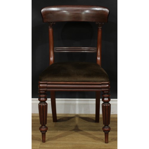 113 - A set of four William IV mahogany dining chairs, 87.5cm high, 47cm wide, the seat 38cm deep, c.1835