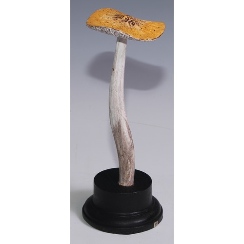 3693 - Natural History - Mycology - a painted model of fungus specimen, mounted for display, 22.5cm high